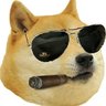 Segarro's profile picture