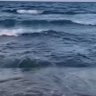 سبحان الله❤️ 的头像