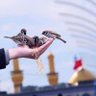 احياء في زمن ميت profil fotoğrafı