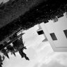 Фото профиля a_idanyaro 🇵🇸