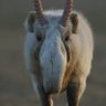 Joesph Furgus's profile picture