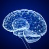 Awake Mind's profile picture