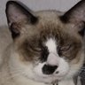 DANIEL's profile picture