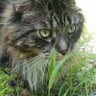 Profilbild von Littl-mama