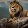 Ron Boehly's profile picture