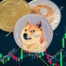 Mr Bin Crypto 的头像