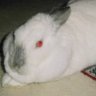 Profilbild von 光先未来