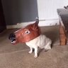 Фото профиля JifPom