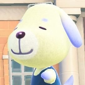 anton_acnh's profile picture