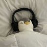 dee0809's profile picture