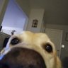 Indie1984364's profile picture