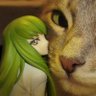 r4ptor's profile picture