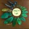 sirajuddeensiraje's profile picture