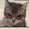 Xime profil fotoğrafı