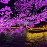 西岐's profile picture