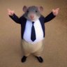 Ppibi's profile picture