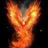 PHOENIX's profile picture