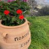 MAGsM ⭐️ 🇺🇦💙🇬🇷🇪🇺 profil fotoğrafı