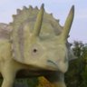 🦖Wicky🦕 的头像