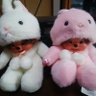 カッパクン's profile picture