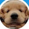 きょん🐾's profile picture