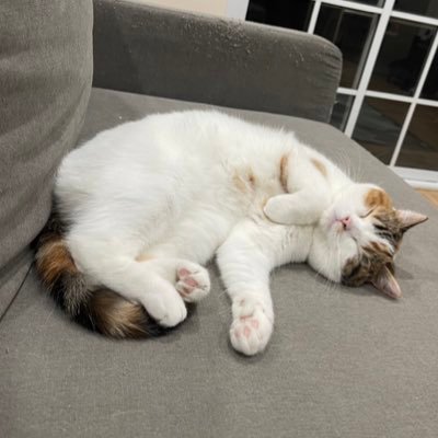 wpnxxxx's profile picture