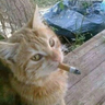 Engin's profile picture
