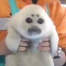 Unamused profil fotoğrafı