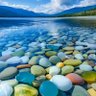Mehdi Nezami profil fotoğrafı