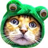 ティガー社長 @youtube +toy101+gomachiro's profile picture