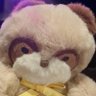 Profilbild von 花見あも