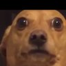 Logelitos's profile picture