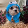 MO's profile picture