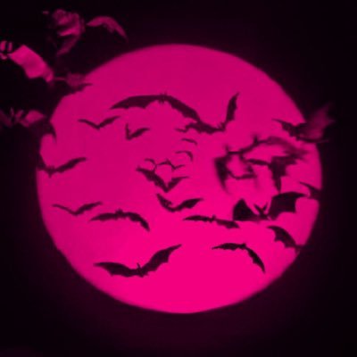 stickykat's profile picture