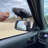 Mike Malicki profil fotoğrafı