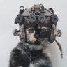 TactiCat🏴‍☠️'s profile picture
