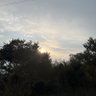 أبو الجازي profil fotoğrafı