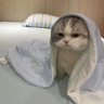 乀乀 profil fotoğrafı