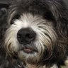 Mz Bee's profile picture