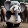 剑走偏锋🇨🇳𓆩♡𓆪🇵🇸's profile picture