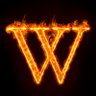 W_NFSC profil fotoğrafı
