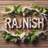Rajnish Jain 的头像