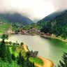 Thsn Ergl profil fotoğrafı
