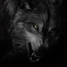 Zx.'s profile picture