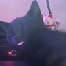 LemonHaze (on MH Leave)'s profile picture