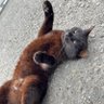 Фото профиля ちばまちよ