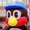 Фото профиля 🕶ちょびトマト🕶