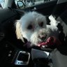 que♻️ 的头像