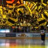 Profilbild von Namn Namnsson💛🖤