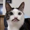 RickyWan's profile picture